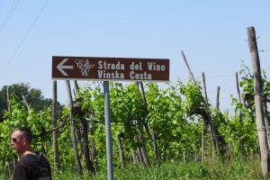 Taking the wine road